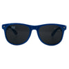 Blue Trash Pandas Sunglasses